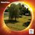 Debbie Dudley Blaylock's profile image