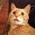 Eric Puckett's profile image