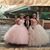 Maryjaime Segura Rached's profile image