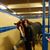 Mary Beth Finnerty's profile image