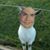 Tyroil Wallace's profile image