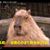 Neal Donovan's profile image
