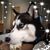 Jeannie Hayes Fonville's profile image