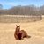 Sarah Arciniega's profile image