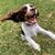 Julie Hudson's profile image