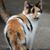 Patricia Bradshaw Mitchell's profile image