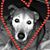 Pam Stewart Ruby's profile image