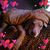 Barry Gerhard's profile image