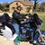 Joe Mazzone's profile image