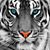 Audrea McCarthy's profile image