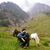 Rajnish Kumar's profile image
