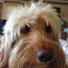 Ann S.'s profile image