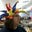 melinda cales's profile image