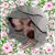 Cindy Bake Hall's profile image