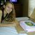Ashley Stockman's profile image