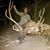 Ryan Anderson's profile image
