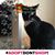 Shelley M Eaglesham's profile image