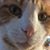 Julie Andrade's profile image