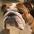 Jamie Varnado's profile image
