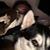 Blake Utterback's profile image