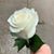 Pamela Kingham George's profile image