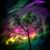 Bonnie Schneck's profile image