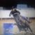 Sharie Brock's profile image
