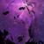 Brittany Sells's profile image