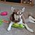 Lois Teer Lowery's profile image