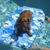 Barb Schaper's profile image