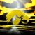 Gina Bertuccelli's profile image