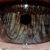 Roger Vanderwerf's profile image