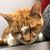Kathleen Hawkins's profile image