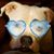 Nancy Davis's profile image