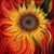 Dawn Melamed's profile image