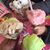 Nancy Curotto's profile image