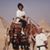 Tom Remar's profile image
