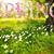 Linda Walke Greco's profile image