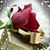 Mervat S Abedrabbo's profile image