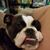 Cyndi Cole's profile image