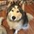 Terri Chambers Chadd's profile image