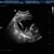 Karen Kilpatrick Gregory's profile image