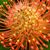 Beckye Frey's profile image