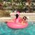 Jennifer Slak James's profile image