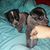 Christina Wright's profile image