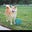 Tina G's profile image