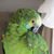 Linda McGurk Rockhold's profile image
