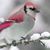 Linda J. Connor's profile image