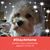 Jennifer Arnold's profile image