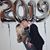 Carolyn Janse van Rensburg's profile image
